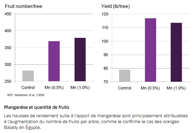 Mangan&egrave;se et quantit&eacute; de fruits