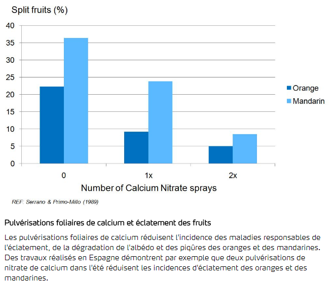 Pulvérisations foliaires de calcium et éclatement des fruits