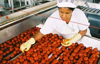 Grading processed tomatoes