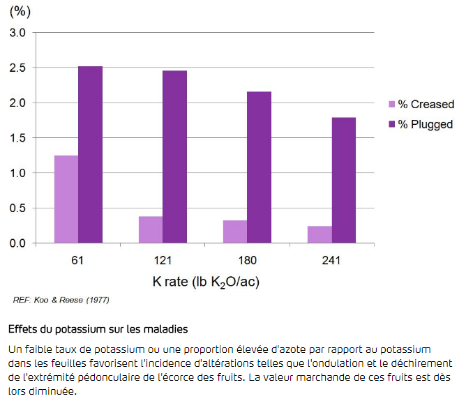 Effets du potassium sur les maladies