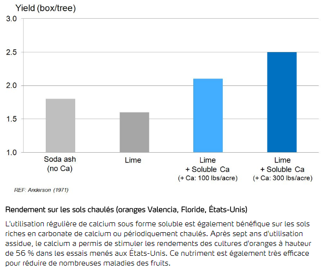 Rendement sur les sols chaulés - Oranges