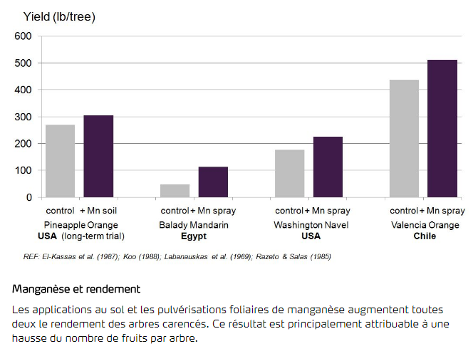 Mangan&egrave;se et rendement